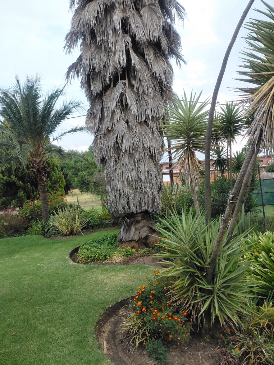 3 Bedroom Property for Sale in Oranjeville Free State